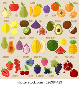 Vector flat design fruits and berries icon set.