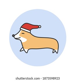 Vector flat design illustration of happy corgi puppy holding christmas hat to celebrate Christmas. Icon of adorable animal. Merry christmas concept