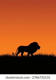 Vector flat design illustration of a majestic male lion silhouette walking through the grass of the African savanna against a vibrant orange and yellow gradient sunset sky. Clean minimalist wild cat poster template.