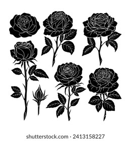 vector flat design roses silhouette white background