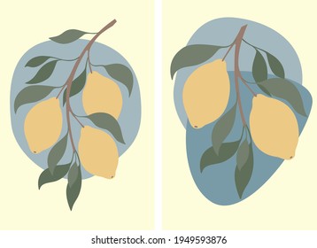 Vector flat design set: branches with ripe yellow lemons and green leaves on abstract blue spots. Elements forcard, poster, interior picture, invitation, logo, illustration.