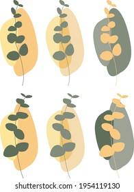 Vector flat design set in pastel colors: green and yellow  eucalyptus branches on free form abstract  spots. Elements for card, poster, invitation, logo, illustration.