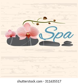 vector flat design for spa.  Spa procedure