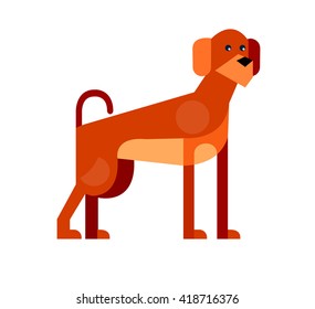 Vector flat dog. Vector detailed dog Isolated on white