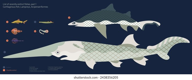 A vector flat fishes set - numbered list of recently extinct fishes on deep blue background.