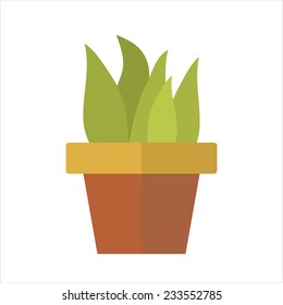 vector flat flower pot, house plants