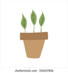 vector flat flower pot, house plants
