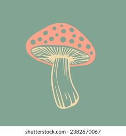 Vektor flach Fliege agaric Pilz Symbol einzeln. Amanita. psychedelische Farben