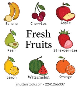 vector flat fruit collection. realistic  fruit illustration.