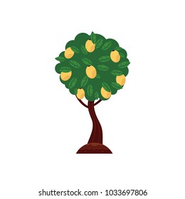 Vector flat green abstract tree apple, pear fruits with big foliage icon. Isolated illustration with forest, garden plant, spring or summer, ecology and environment symbol on white background.