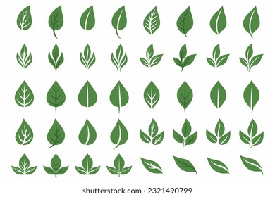 Vector Flat Green Leaf Icon Set Isolated. Leaves Collection, Design Decorative Elements. Spring, Summer Leaves, Plants, Herbs for Logo, Emblem Design. Vector Illustration