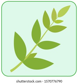 Vector flat green plant icon. Logo of green sprout for app, icon, web, infographics  design.