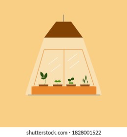 Vector flat greenhouse, terrarium with seedling illuminated by a lamp. Concept home hobbies, entertainment. Illustration isolated on beige