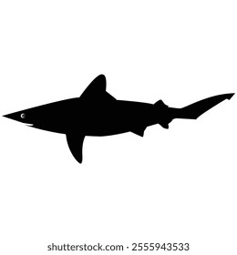 Vector flat hammerhead shark silhouette isolated on white background