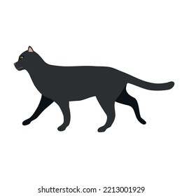 Vector flat hand drawn black cat isolated on white background