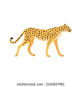 Vector flat hand drawn cheetah isolated on white background