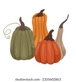 Vector flat hand drawn clipart pumpkins isolated from background. Gardening picture with pile of gourds. Cozy autumn illustration of vegetables for sublimation, postcards and stickers. 