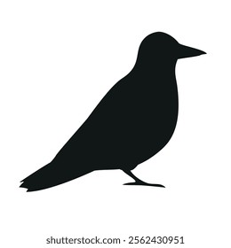 Vector flat hand drawn crow silhouette isolated on white background