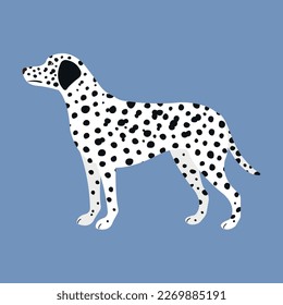 Vector flat hand drawn dalmatian dog isolated on blue background svg