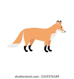 Vector flat hand drawn fox isolated on white background