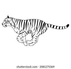 Vector flat hand drawn outline tiger isolated on white background