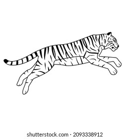 Vector flat hand drawn outline jumping tiger isolated on white background