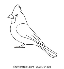 Vector flat hand drawn outline red cardinal bird isolated on white background