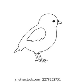 Vector flat hand drawn outline chicken chick isolated on white background
