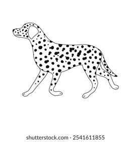 Vector flat hand drawn outline Dalmatian dog isolated on white background