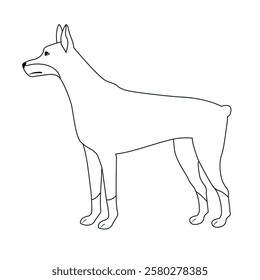 Vector flat hand drawn outline doberman dog isolated on white background