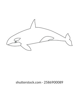 Vector flat hand drawn outline killer whale isolated on white background