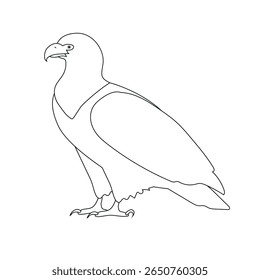 Vector flat hand drawn outline eagle isolated on white background
