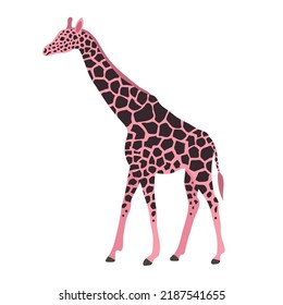 Vector flat hand drawn pink giraffe isolated on white background