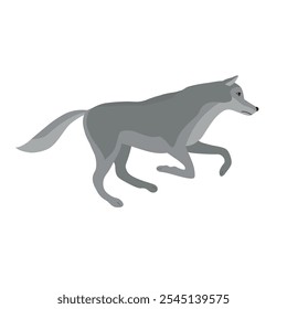 Vector flat hand drawn running wolf isolated on white background