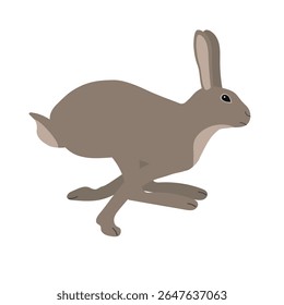 Lebre de corrida desenhada à mão plana de vetor isolado no fundo branco