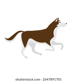 Vector flat hand drawn running husky dog isolated on white background
