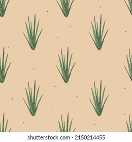 Vector flat hand drawn seamless pattern with houseplant