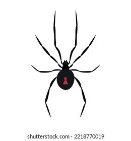 Vector flat hand drawn spider isolated on white background