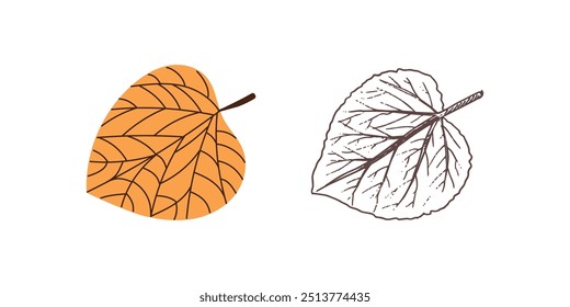 Vector  flat and hand drawn style  leaf illustration. Vintage sketch element for the design of labels, packaging and postcards.
