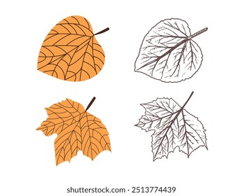 Vector plano y dibujado a mano estilo hoja ilustración. Elemento de boceto de Antiguas para el diseño de etiquetas, embalajes y postales.