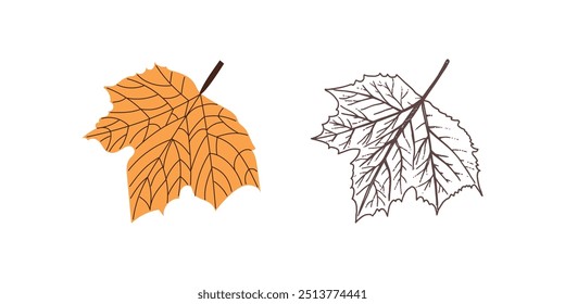Vector  flat and hand drawn style  leaf illustration. Vintage sketch element for the design of labels, packaging and postcards.