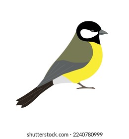 Vector flat hand drawn tit bird isolated on white background