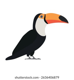 Vector flat hand drawn toucan isolated on white background