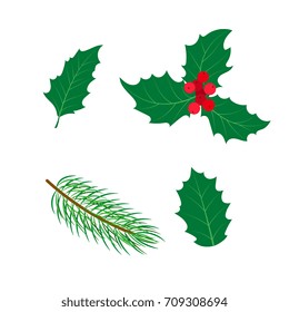 vector flat holly tree, mistletoe or ilex branch,leaves and berries and spruce branch set. Isolated illustration on a white background. Christmas natural green colored floral decoration design symbol