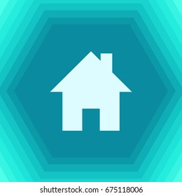 Vector flat home icon on hexagonal background. Business collection 