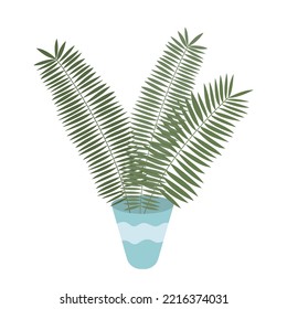 Vector flat home palm tree in pot illustration