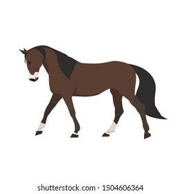 vector flat horse exterior in motion: walk