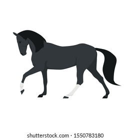 vector flat horse exterior in motion: walk
