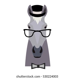 Vector Flat horse hipster head isolated. Grey color horse face in glasses, hat and bowtie.  Cartoon style illustration. Object for web, poster, banner, print design. Advertisement decoration element