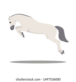 vector flat horse  in motion: jump